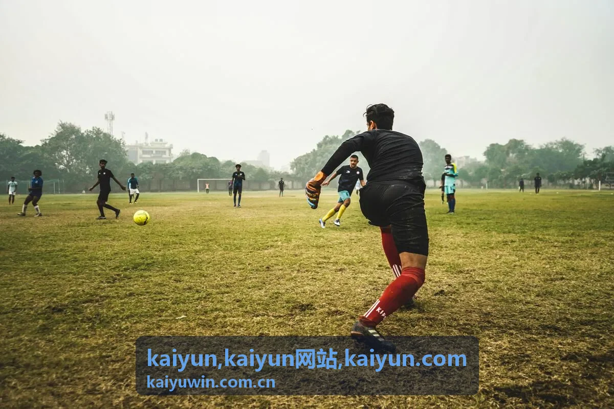 kaiyun企业服务说明配图